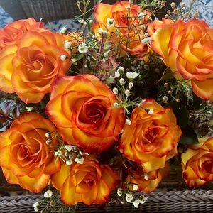 Meet your Posher, Kara